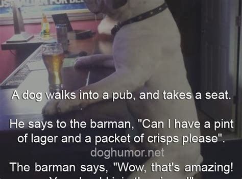 A Dog Walks Into A Pub Dog Humor