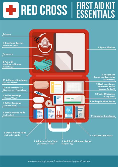 Infographic First Aid Kit Essentials Conseils De Survie