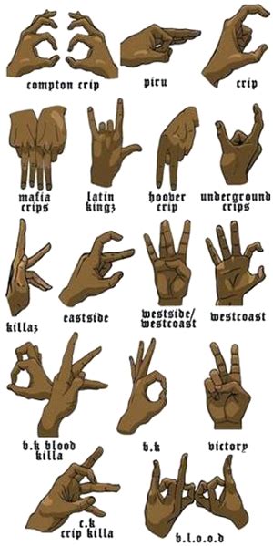 12 September 2012 The Daily Omnivore Gang Signs Hip Hop Art
