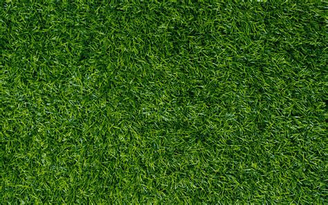 Download Wallpapers Green Grass Texture Green Lawn Grass Background Environment Ecology