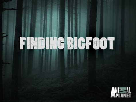 Watch Finding Bigfoot Prime Video