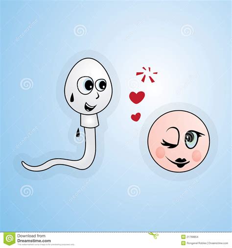 Sperm And Egg Stock Illustration Illustration Of Healthy 21768854