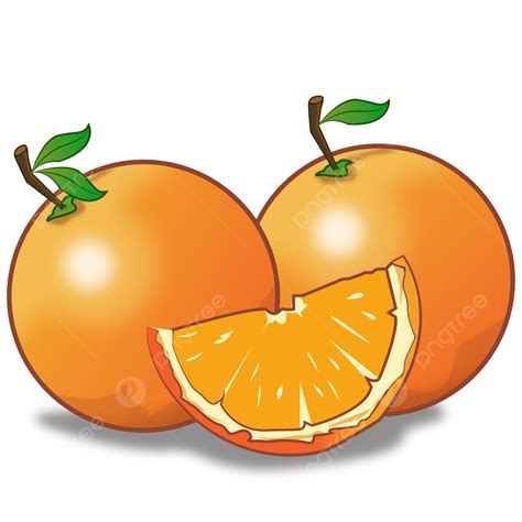 Jeruk Naranja Vector PNG Jeruk Naranja Fruta PNG Y Vector Para