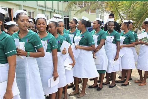 Nursing Training College 2023 What Course Can One Offer With Grade D7