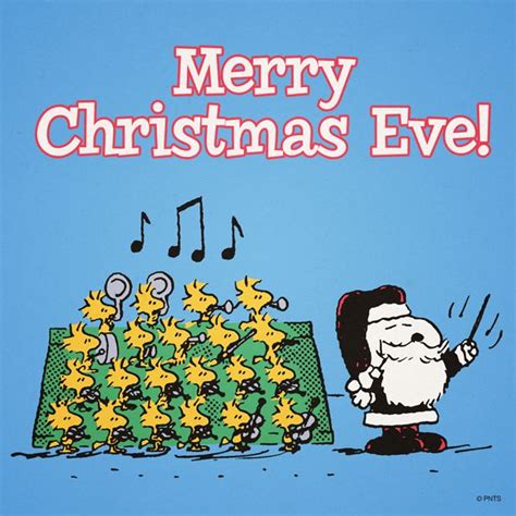 Explore christmas eve quotes by authors including sabrina carpenter, paul engle, and tyrone mings at brainyquote. 180 best Woodstock images on Pinterest | Peanuts snoopy, Peanuts cartoon and Charlie brown peanuts