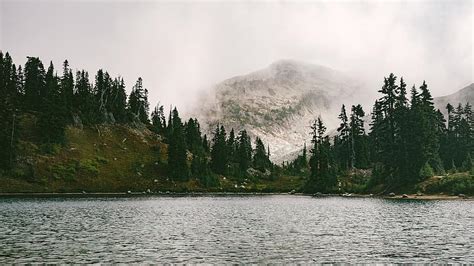 Lake Forest Mountain Foggy Landscape Nature Water Evergreens