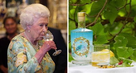 Queen Sells Her Own Homemade Gin After Losing Millions New Idea Magazine