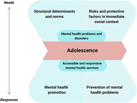 A Conceptual Framework For Adolescent Mental Health Aligned With Public Download Scientific