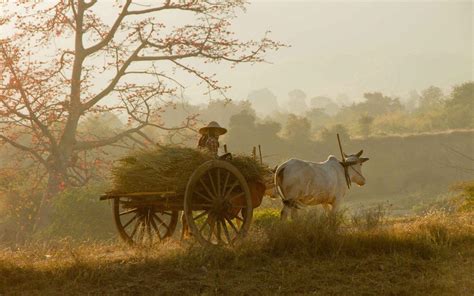 Indian Village Wallpaper Hd 1080p Free Tutorial Pics