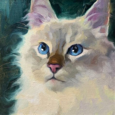 Ragdoll Cat Painting Etsy