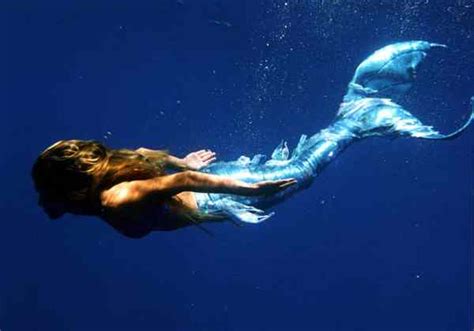 Mermaid A Legendary Aquatic Creature The Origins Of The Myth