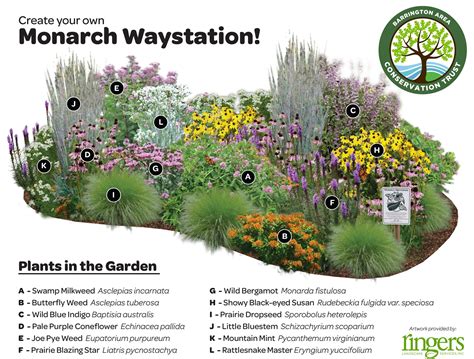 This Garden Offers A Diversity Of Native Plants That Will Create An