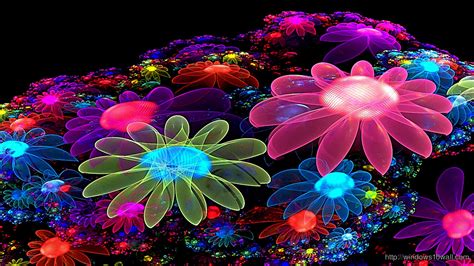 Free Download Cool Colorful Flowers Desktop Wallpaper Animated Cool