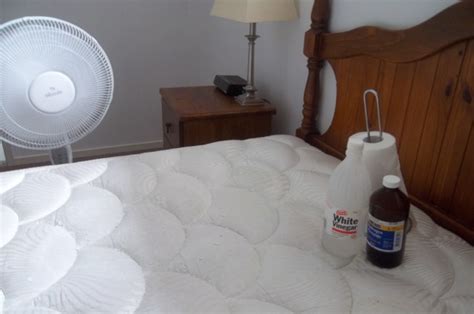 How to clean urine from a mattress. How To Clean Urine From A Mattress - change comin
