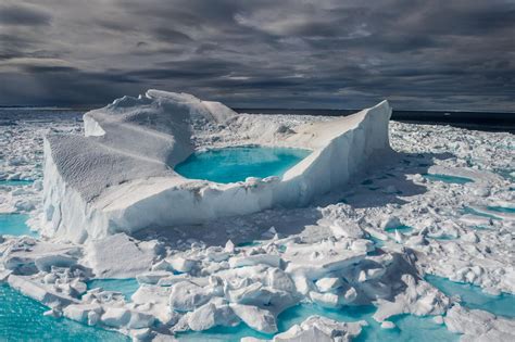 Arctic Wildlifes Last Habitat Will Be Ice Strip