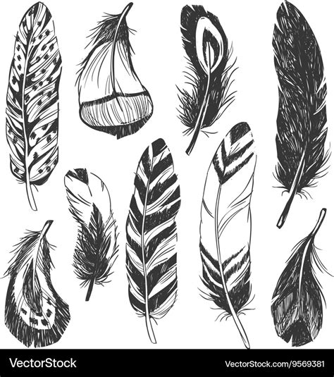 Feather Set In Native American Indian Style Vector Image