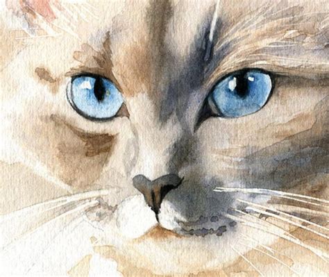 Ragdoll Siamese Cat Art Print Of My Watercolor Ragdoll Large Etsy