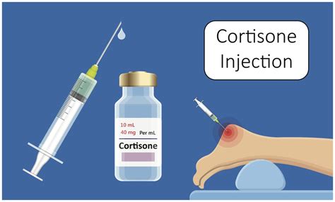 How Much Are Cortisone Shots For Dogs
