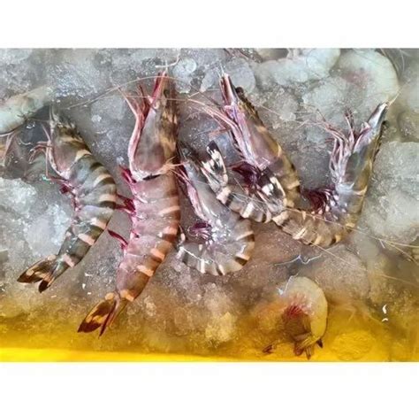 Prawns Fresh Sea Prawn For Restaurant And Hotel Packaging Type Box