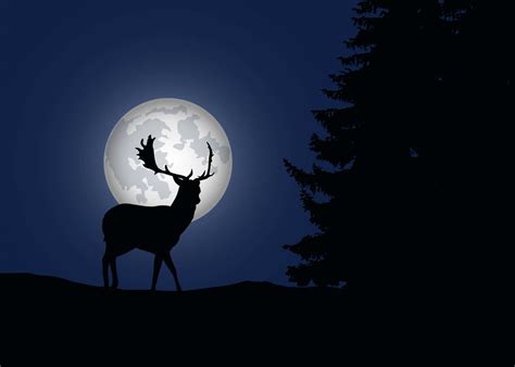 July Buck Moon See 2022s Third And Biggest Supermoon Tonight