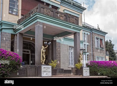 Entrance Ethnological Museum Institute Of Ethiopian Studies Haile