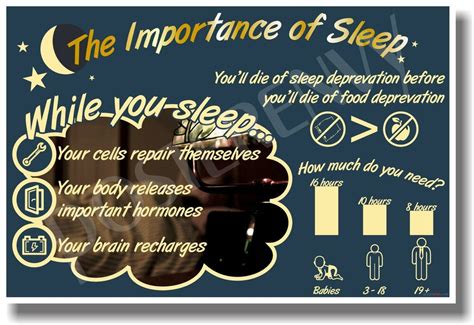 Moreover, many of us don't know what. Importance of Sleep - NEW Health Poster | eBay