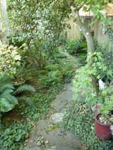 Low Maintenance Backyard Landscaping Ideas Pictures