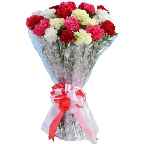 Carnations Delivery In India Same Day Free Shipping