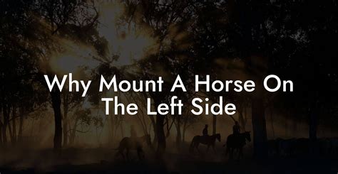 Why Mount A Horse On The Left Side How To Own A Horse