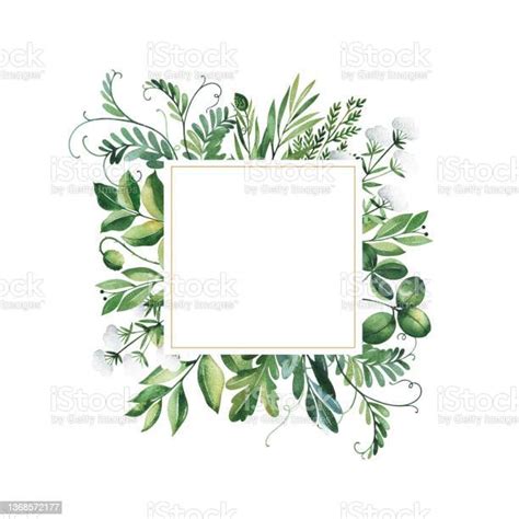 Watercolor Greenery Frame Invitation Stock Illustration Download