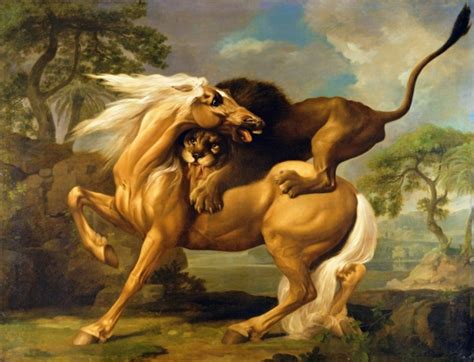 A Lion Attacking A Horse Posters And Prints By George Stubbs