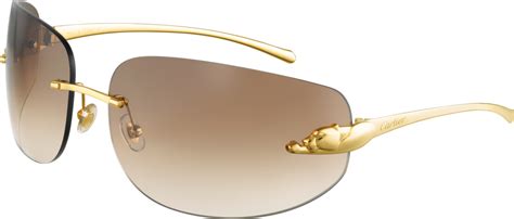 Cartier Jaguar Glasses David Simchi Levi