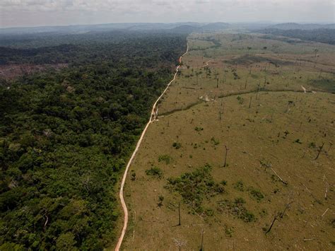 Deforestation Forest Degradation And Climate Change Desmog