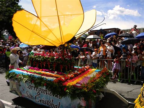 Flower Parade The Last Event In The Flower Festival Of Medellín Photo