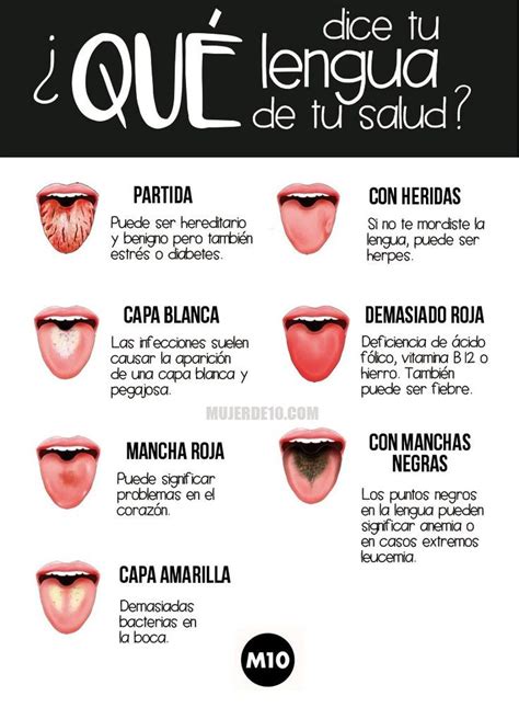 Sátira Bailarín Mostrador Colores De La Lengua Y Su Significado Repollo