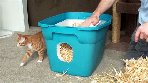 Feral Outdoor Cat Shelter How Can We Save Our Cats In Winter