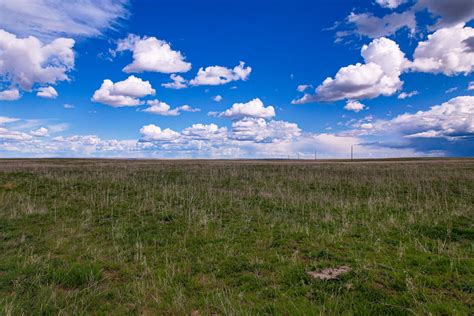 Cattle Ranch For Sale In Northeastern Montana Grasslands