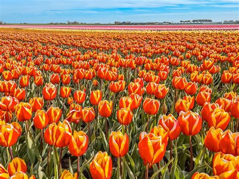 30 Best Places To Visit In The Netherlands