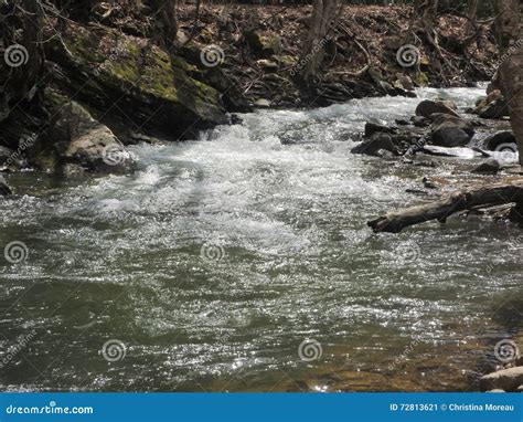 Bubbling Brook Stock Image Image Of Stream Ecosystem 72813621