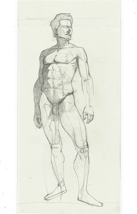 Pencil Drawing Sketch Male Nude And Leiothrix Preview Print My XXX