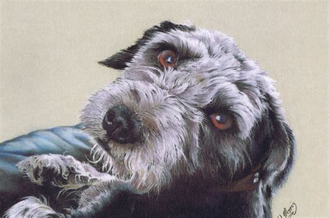 The hand painted dog portraits, cat portraits and horse portraits that clients commission me to paint are available in a range of sizes. Pet Portraits Gallery - Pet Portraits of your Dog, Cat or ...