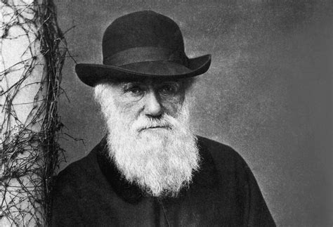 Darwin 150 Años Después De El Origen De Las Especies Política Exterior
