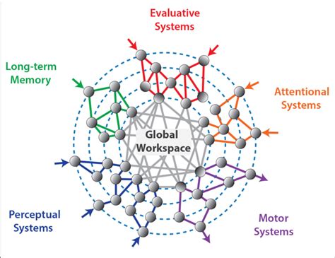 the global workspace emerges by connecting different brain areas download scientific diagram