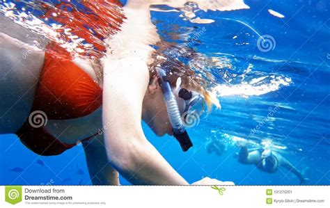 Woman Dive Underwater In Snorkeling Diving Mask Stock Image Image Of