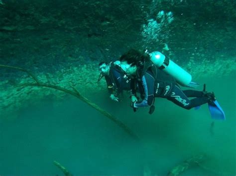 Cenote Angelita Tulum 2022 Qué Saber Antes De Ir Lo Más Comentado Por La Gente Tripadvisor