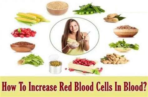 What Can Boost White Blood Cell Count