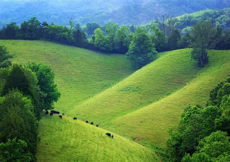 Rolling Hills Of Tennessee Photograph By Carolyn Derstine Pixels