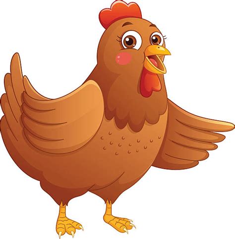 Live Chicken Illustrations Royalty Free Vector Graphics And Clip Art