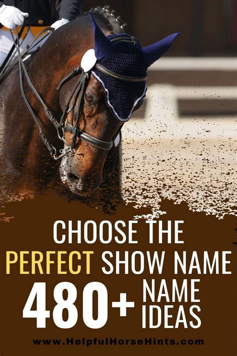 481 Show Name Ideas For Your Horse Horse Show Names Horse Names