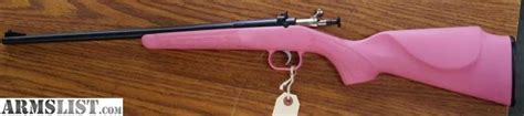 Armslist For Sale Ksa Crickett My First Rifle 22lr